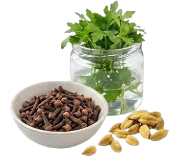 عطاری و ادویه